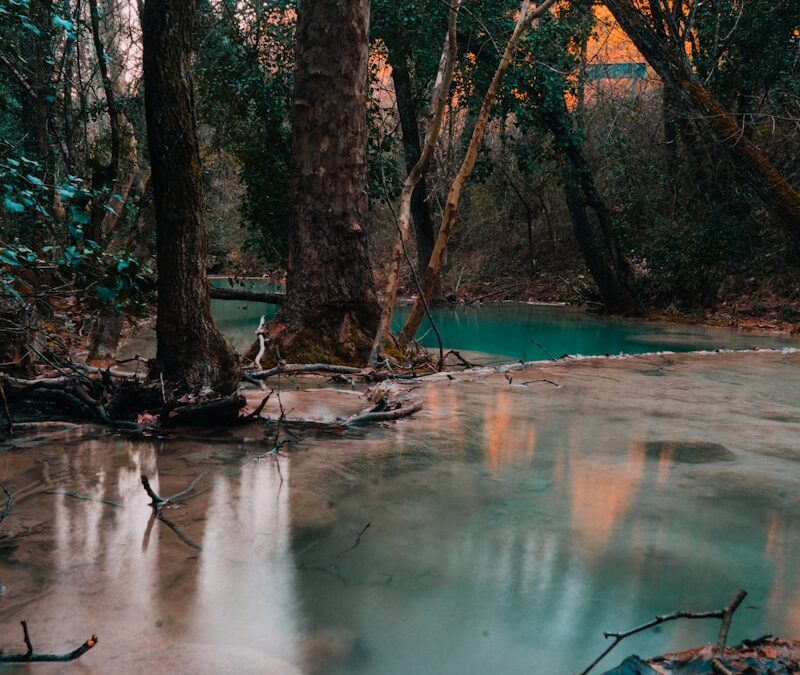 Les minéraux dans l’eau biodisponibles?